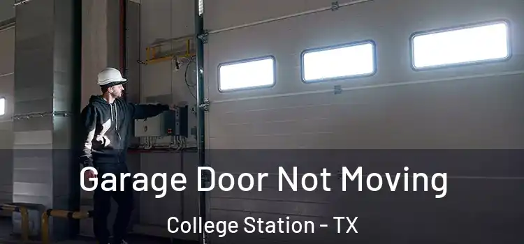  Garage Door Not Moving College Station - TX