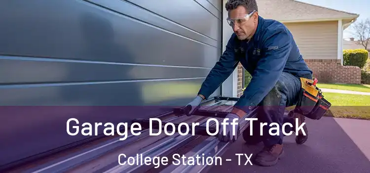  Garage Door Off Track College Station - TX