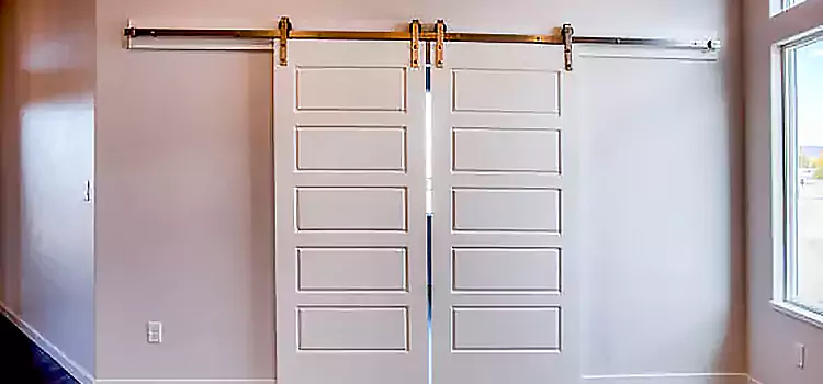 Glass Barn Door with Installation Hardware Kit College Station
